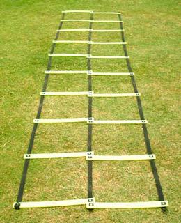 Manufacturers,Exporters,Suppliers of Agility Ladders